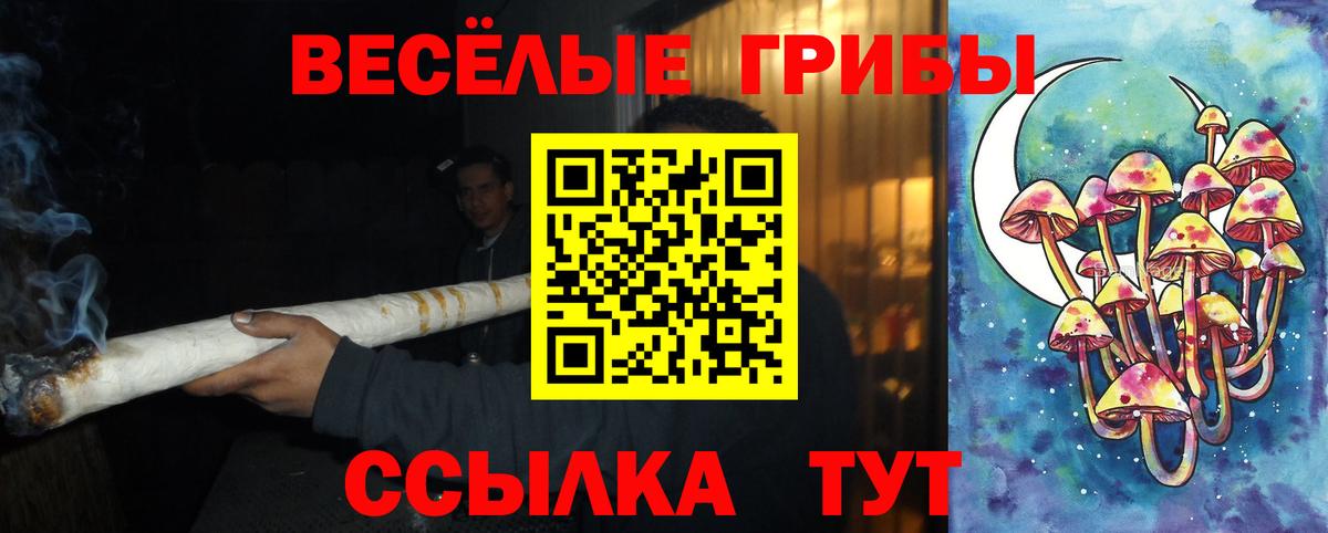 Галлюциногенные грибы мухоморы  Вход с VPN  Псилоцибиновые грибы ЛСД  Строитель 
