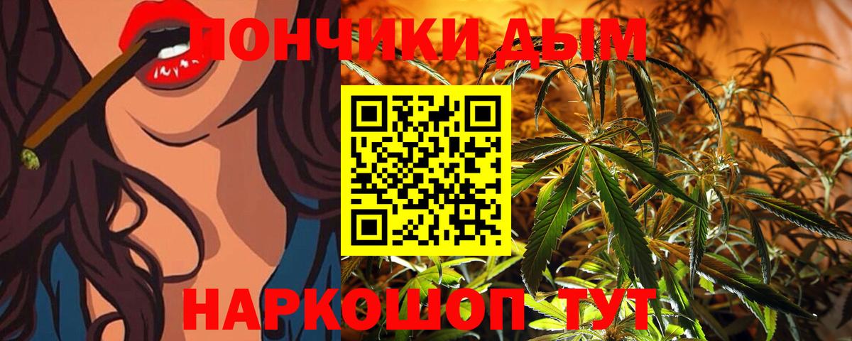 Бошки Шишки ГИДРОПОН Строитель